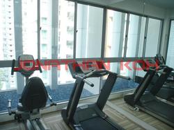 Iridium (D11), Apartment #85255492